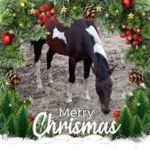 Meet your Posher, Terry